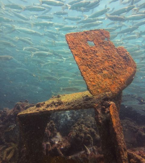wreck dive plettenberg bay