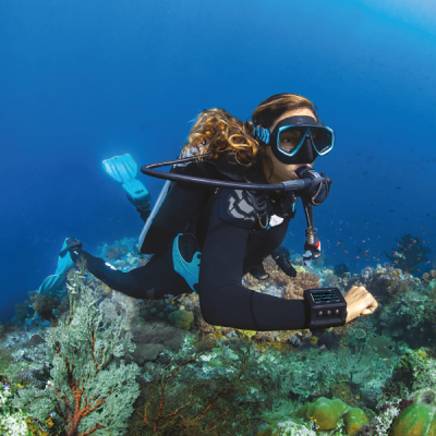 Learn to scuba in 1 day_300x300