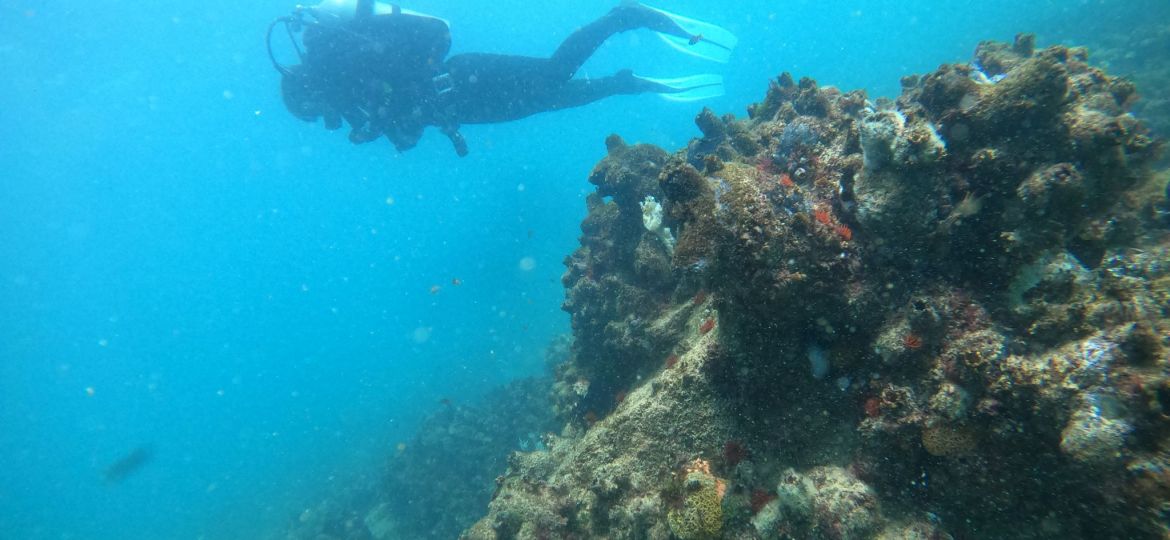 DCIM104GOPROGOPR5169.JPG
